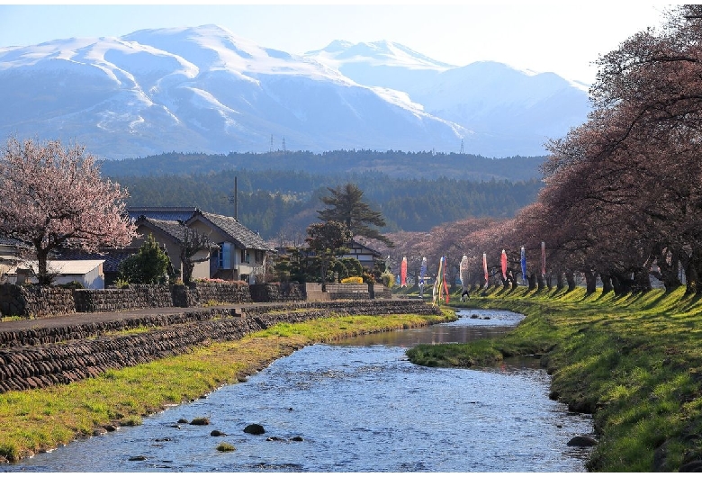 中山河川公園