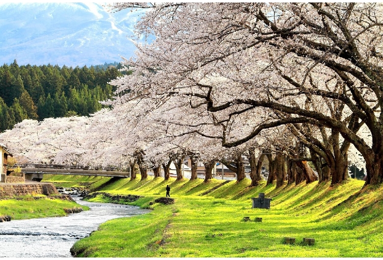 中山河川公園