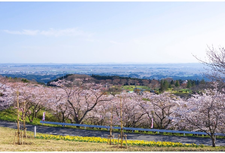 加護坊山