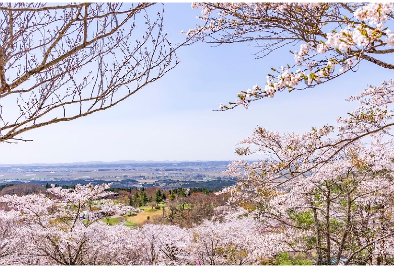 加護坊山