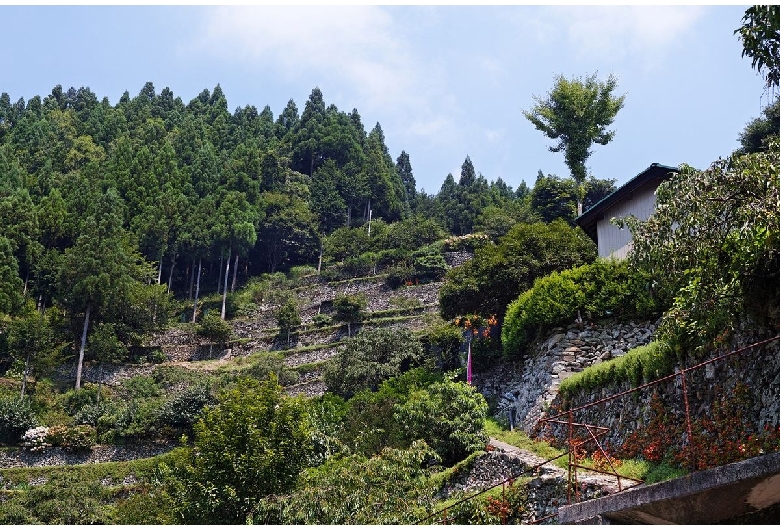 高開の石積み（大神高開）