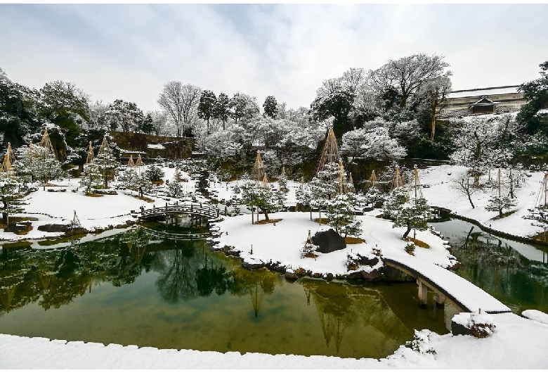 玉泉院丸庭園