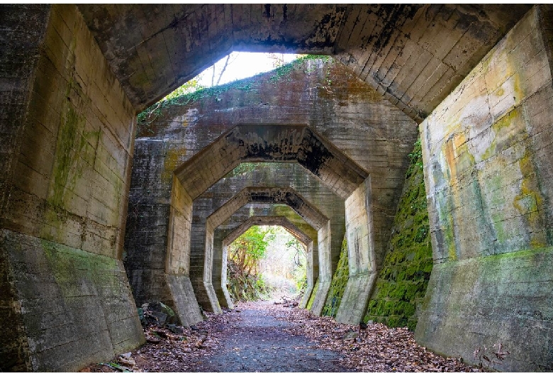 八角トンネル（熊延鉄道遺構）