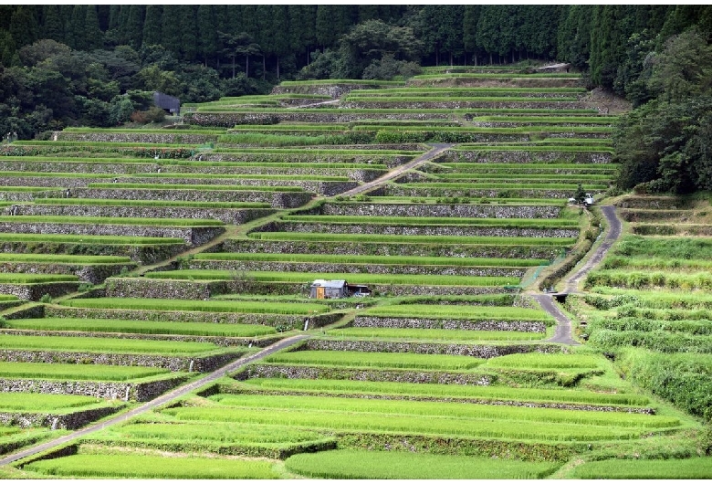 坂元棚田