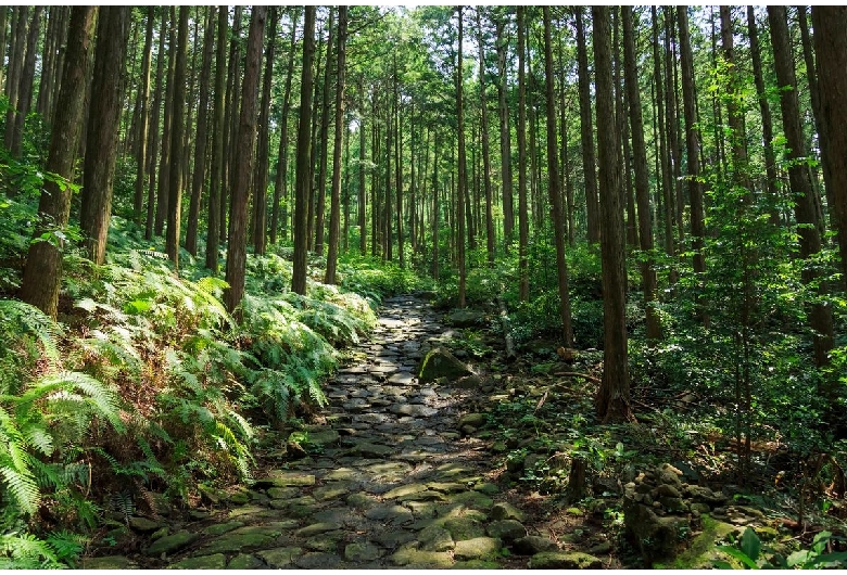 熊野古道（伊勢路）