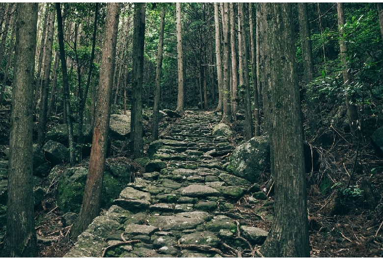 熊野古道（伊勢路）