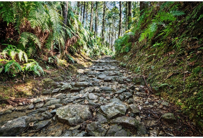 熊野古道（中辺路）