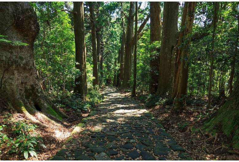 熊野古道（中辺路）