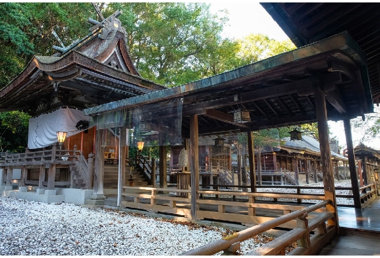 鬪雞神社