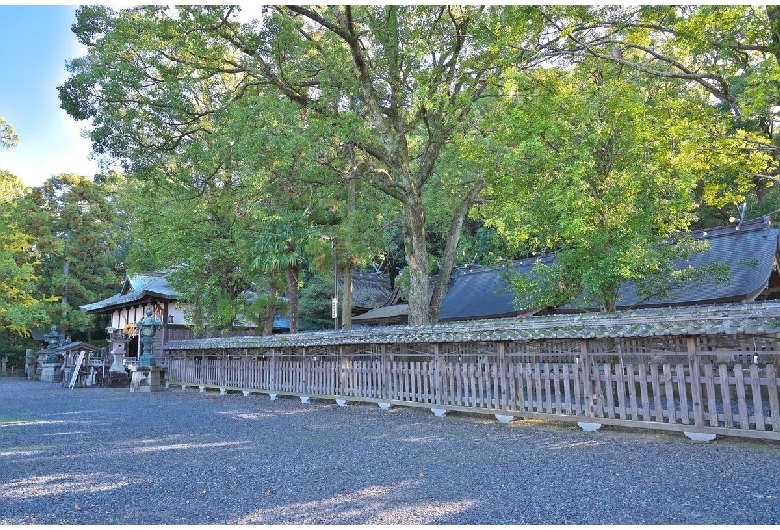 鬪雞神社