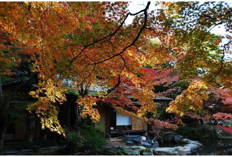 法然院＞京都府 - 京都市街地・嵐山・高雄・鞍馬・大原・伏見