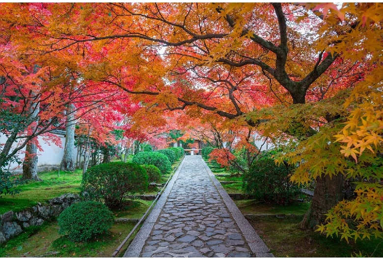 酬恩庵（一休寺）