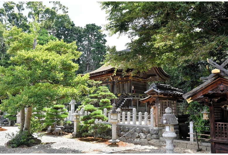 兵主大社（兵主神社）