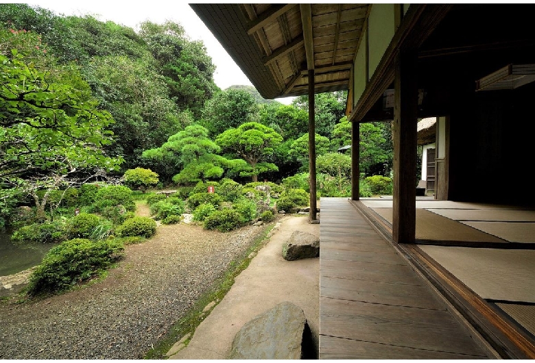 柴屋寺