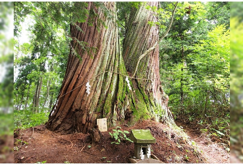 戸隠神社火之御子社