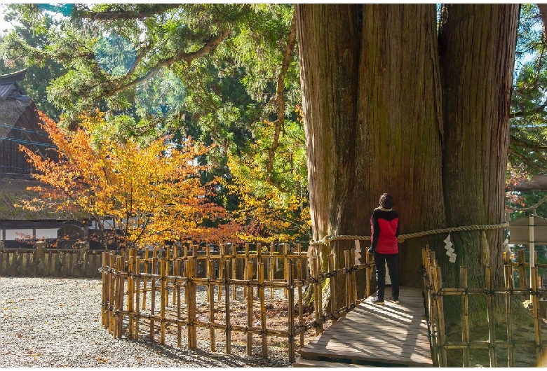 戸隠神社中社