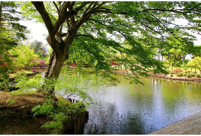 須賀川牡丹園