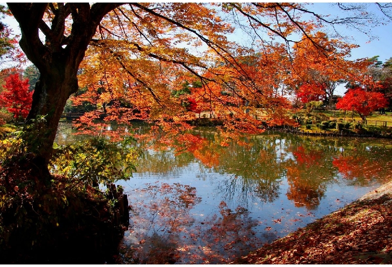 須賀川牡丹園