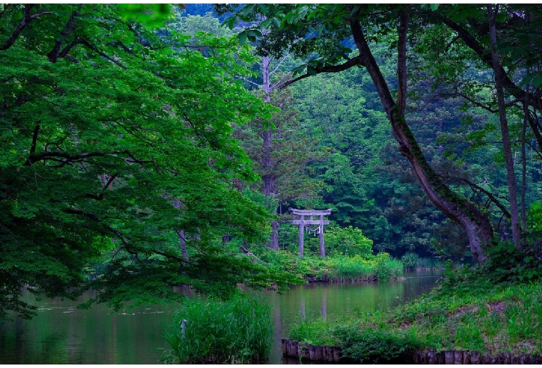 大沼の浮島