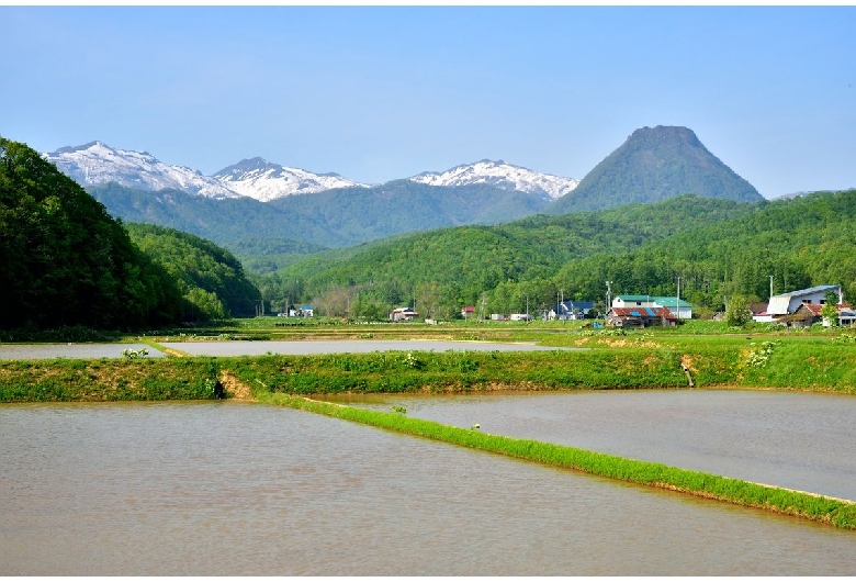 黄金山