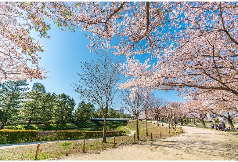 草加松原