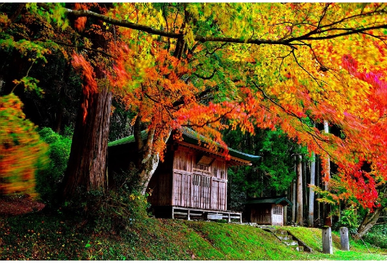 雲巌寺