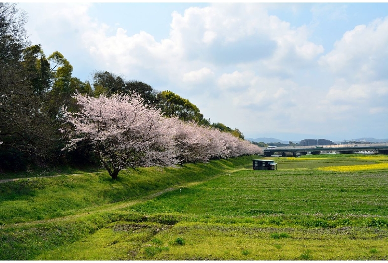 水城跡