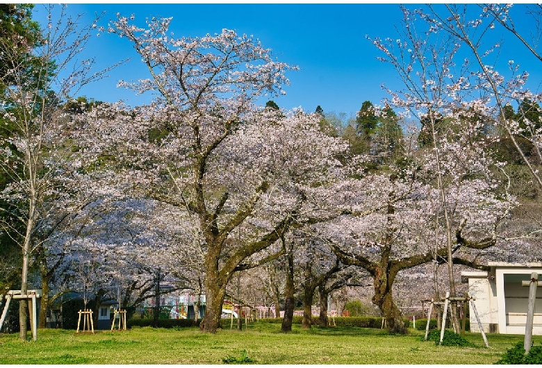 母智丘公園