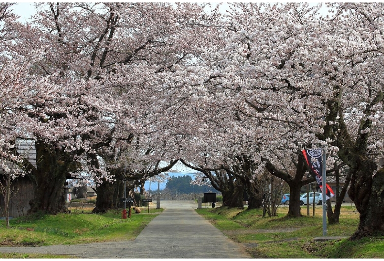 松ヶ岡開墾場