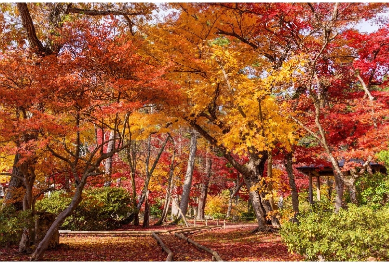 旧池田氏庭園