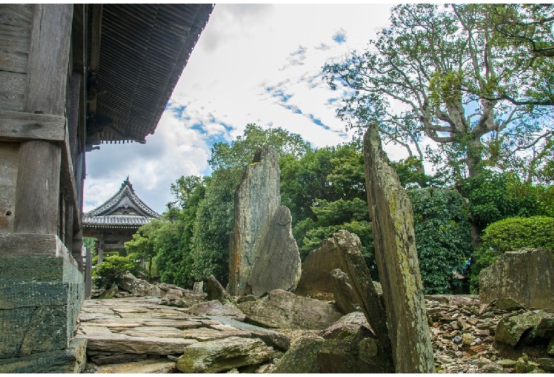 阿波国分寺（薬王山国分寺）