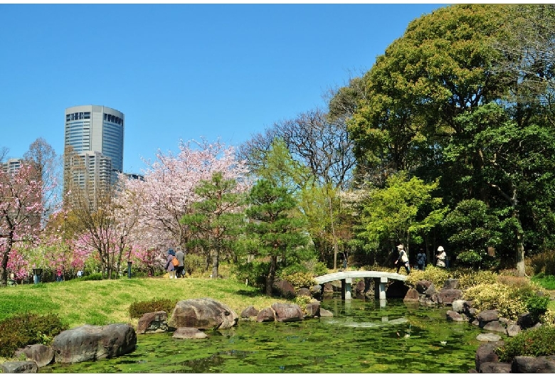 藤田邸跡公園（旧藤田邸庭園）