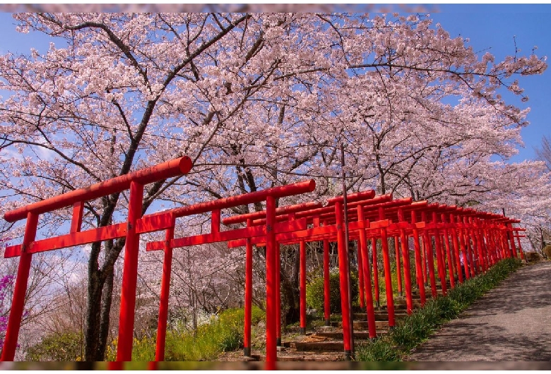 丸高稲荷神社