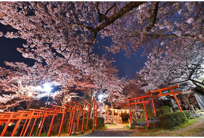 丸高稲荷神社