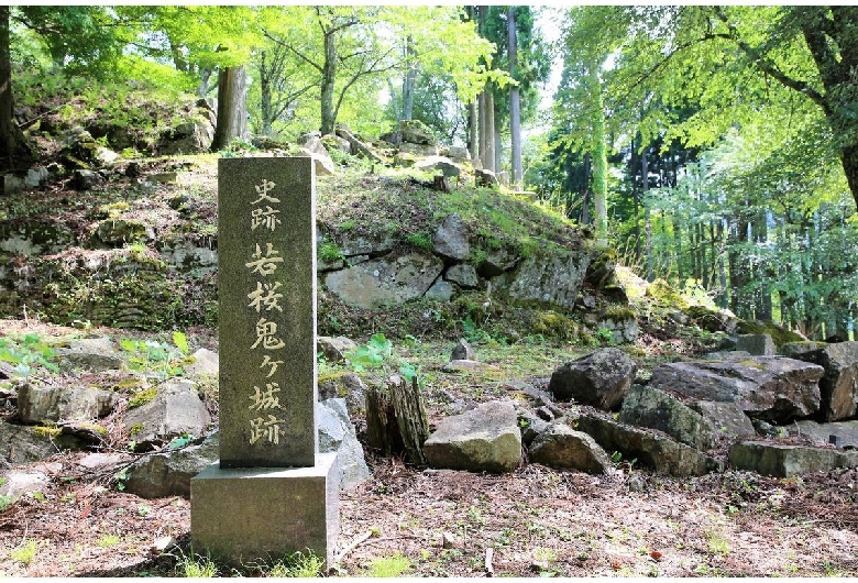 江戸時代中期頃超特大サイズ極稀少レア鬼師超絶技巧造寺社屋根大棟魔除け鬼瓦当時物 1280px-Shimo-akasaka-jyo02.jpg