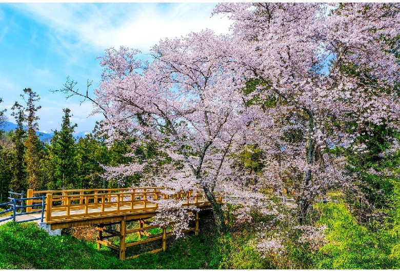 名胡桃城