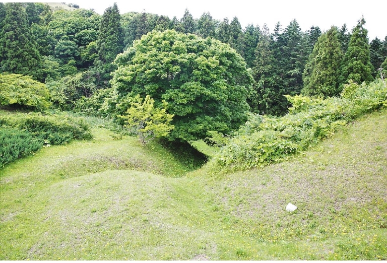 上ノ国勝山城