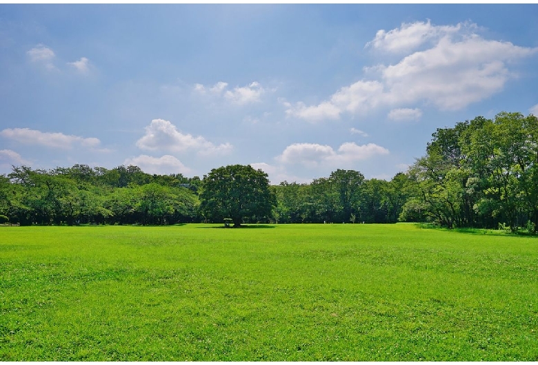 所沢航空記念公園（航空公園）