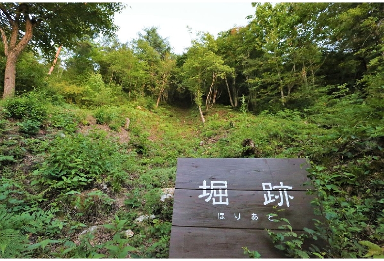 向羽黒山城