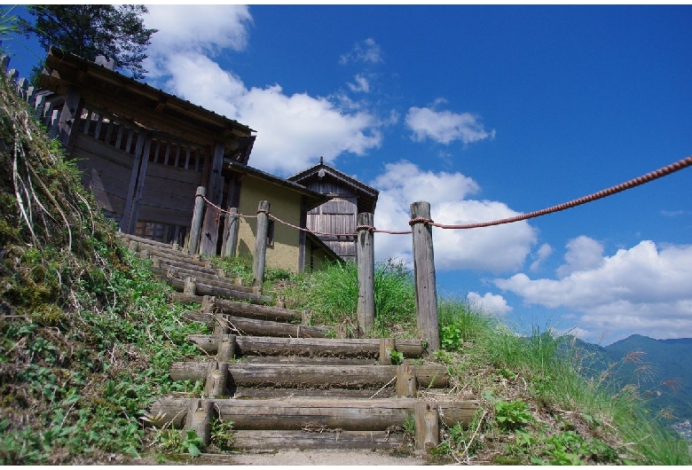 高根城