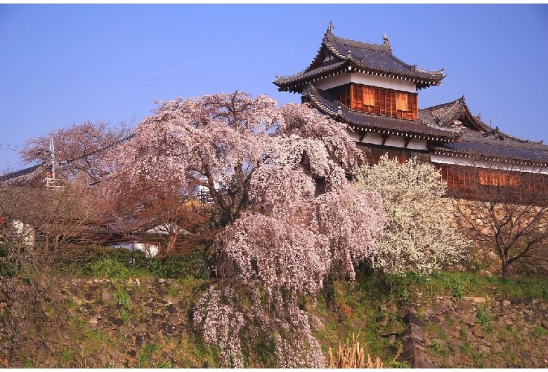 大和郡山城（郡山城）