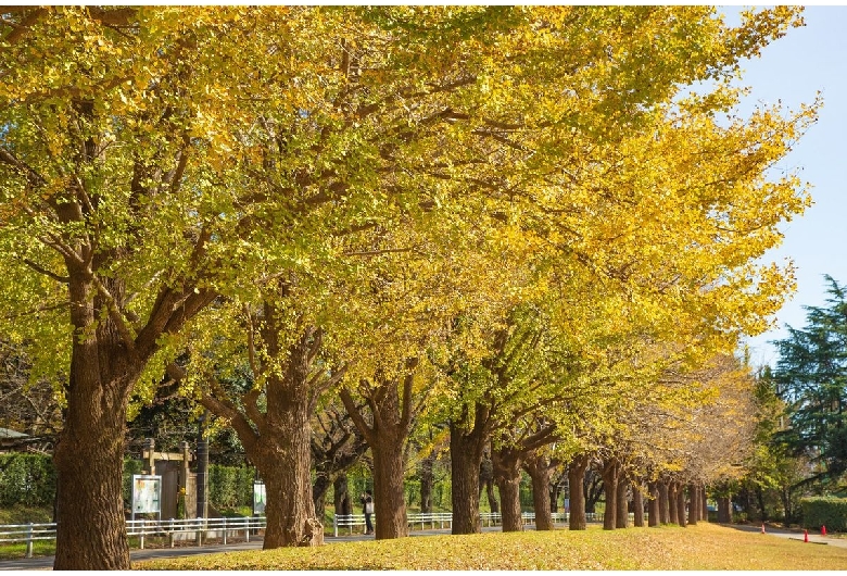 佐倉城（佐倉城址公園）