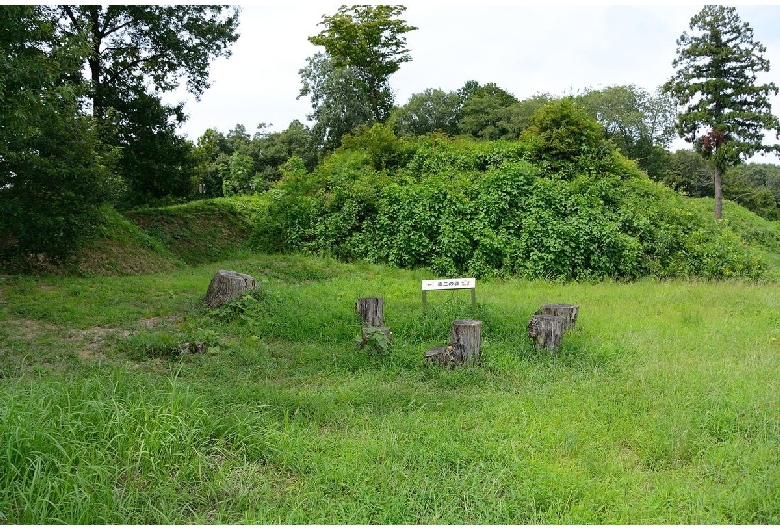 杉山城