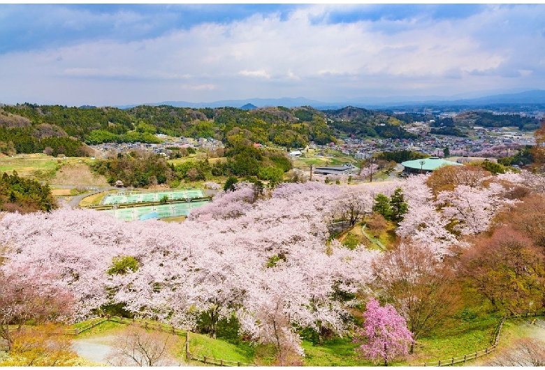 二本松城（霞ヶ城公園）