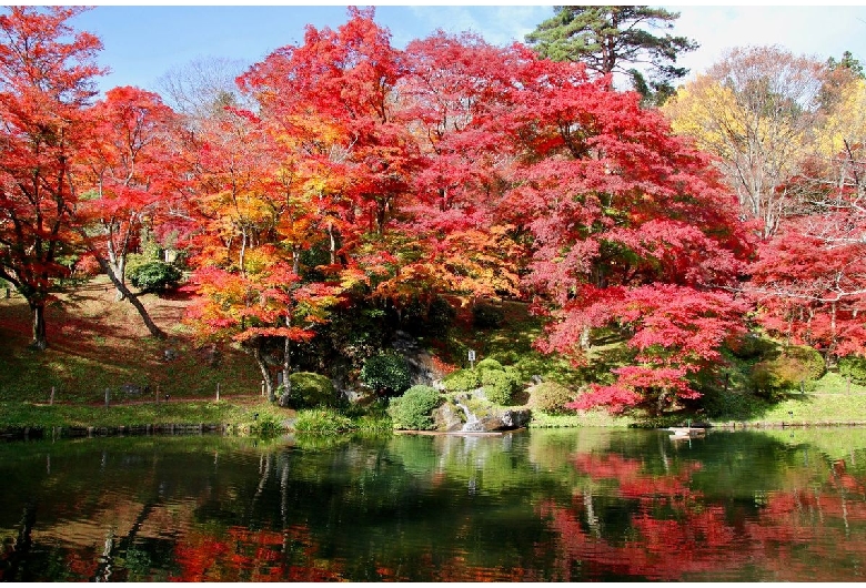 二本松城（霞ヶ城公園）