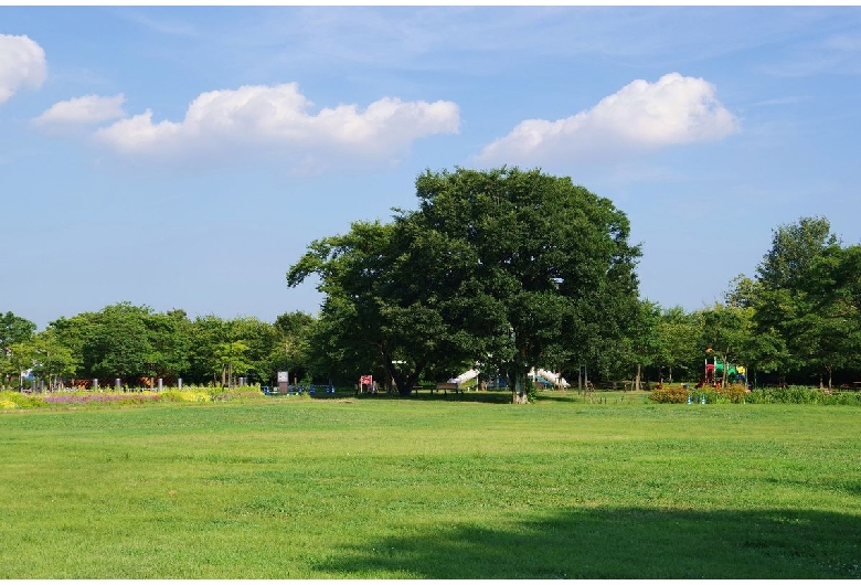 フラワーパーク江南（国営木曽三川公園）