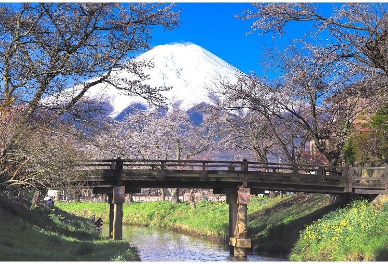 新名庄川お宮橋