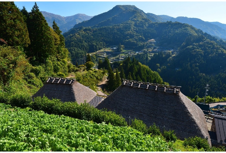 東祖谷山村落合（伝統的建造物群保存地区）