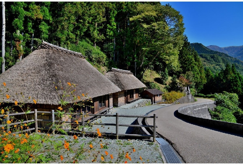 東祖谷山村落合（伝統的建造物群保存地区）