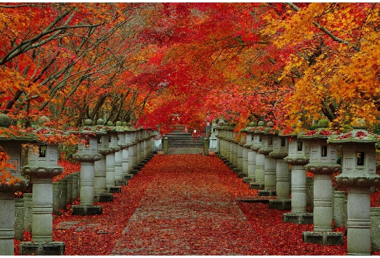 高山寺